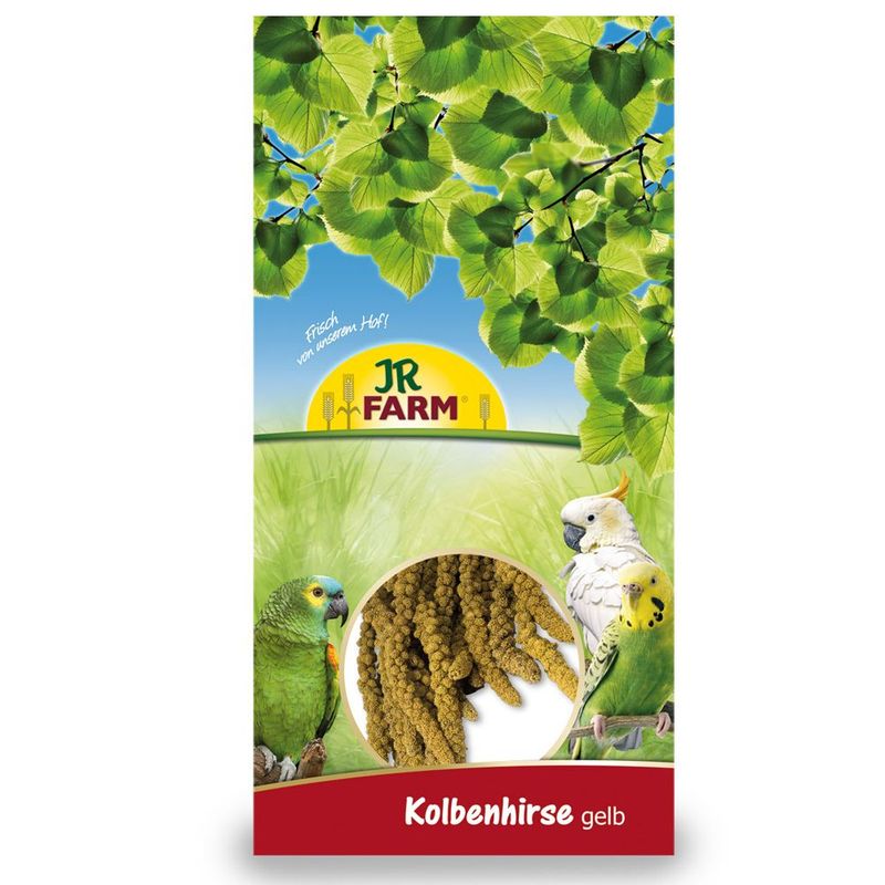 JR Farm Yellow premium quality golden millet harvested