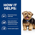 Load image into Gallery viewer, Dog with text and icons explaining liver health benefits on a blue background

