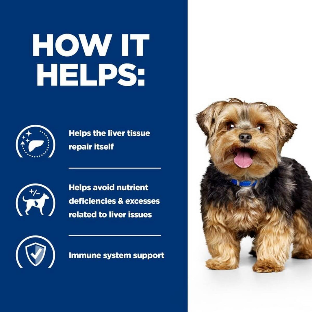 Dog with text and icons explaining liver health benefits on a blue background
