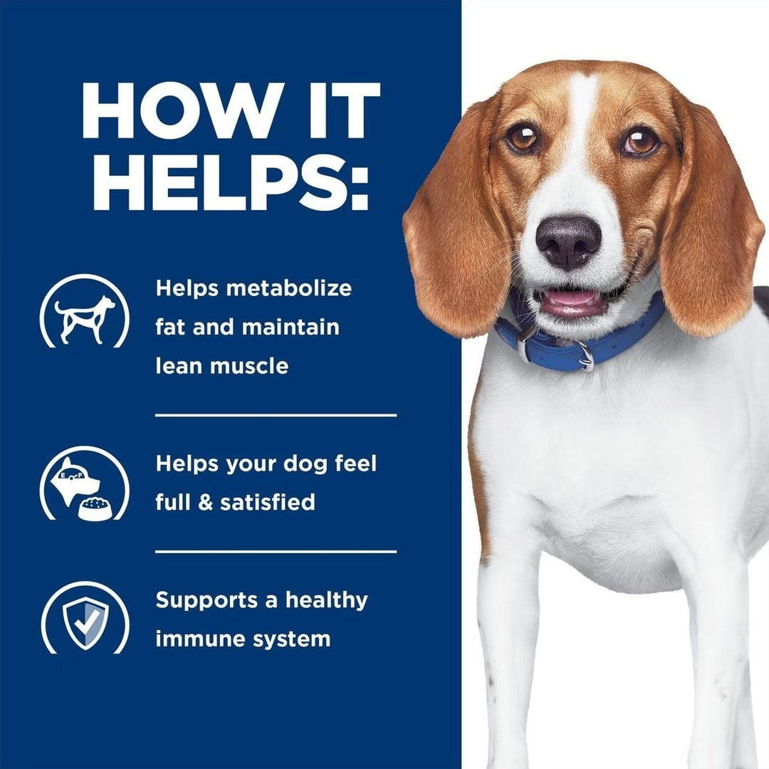 Prescription canned dog diet