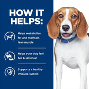 Hill's Prescription Diet RD Tins for Dogs