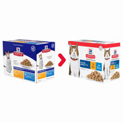 Wet food for older cats