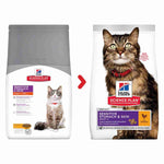 Load image into Gallery viewer, Chicken kibble for adult cats
