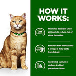 Load image into Gallery viewer, Wet urinary care cat food
