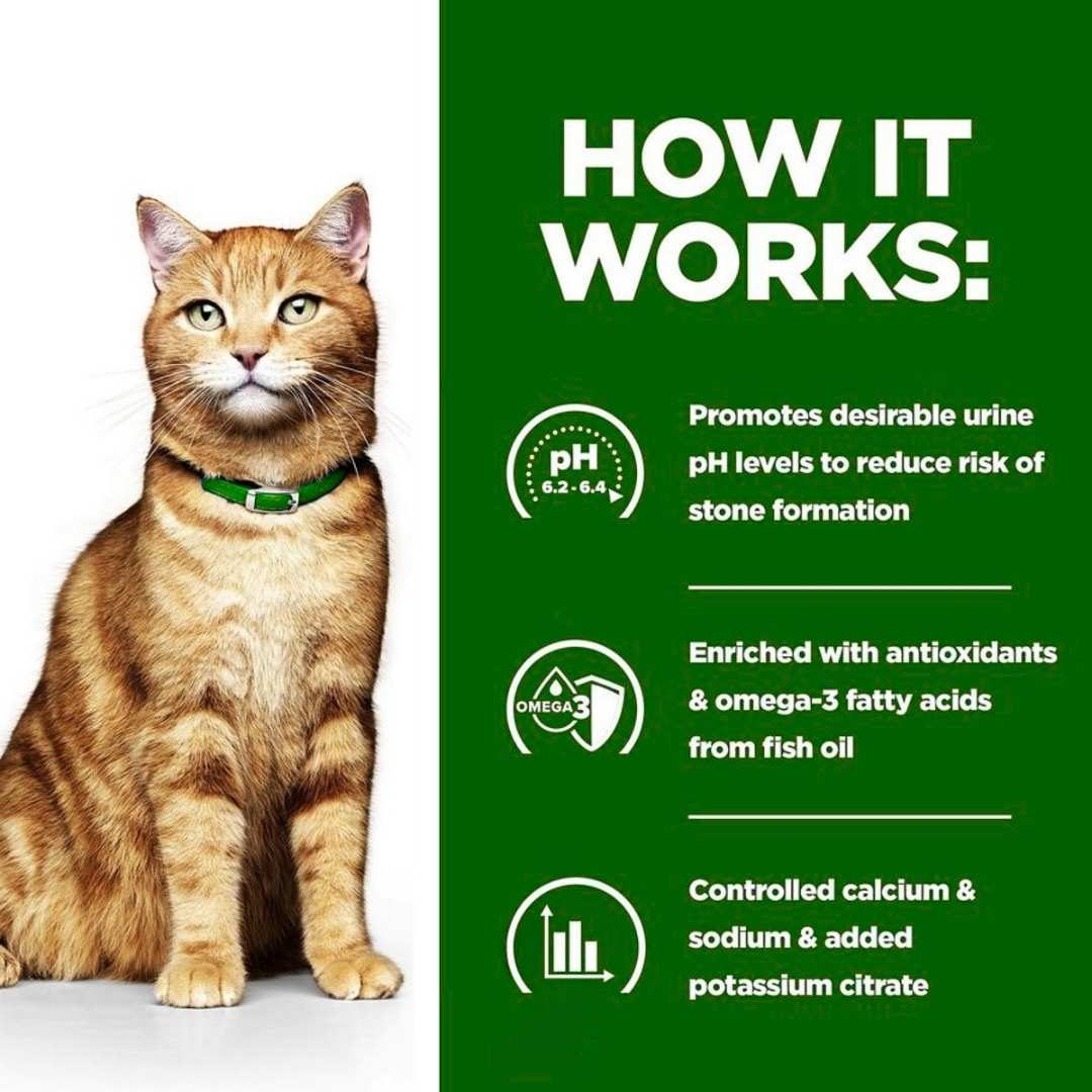 Wet urinary care cat food