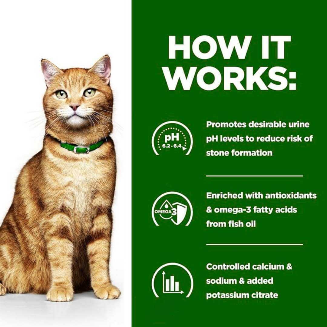 Hill's CD urinary health cat food tins available at Alifant