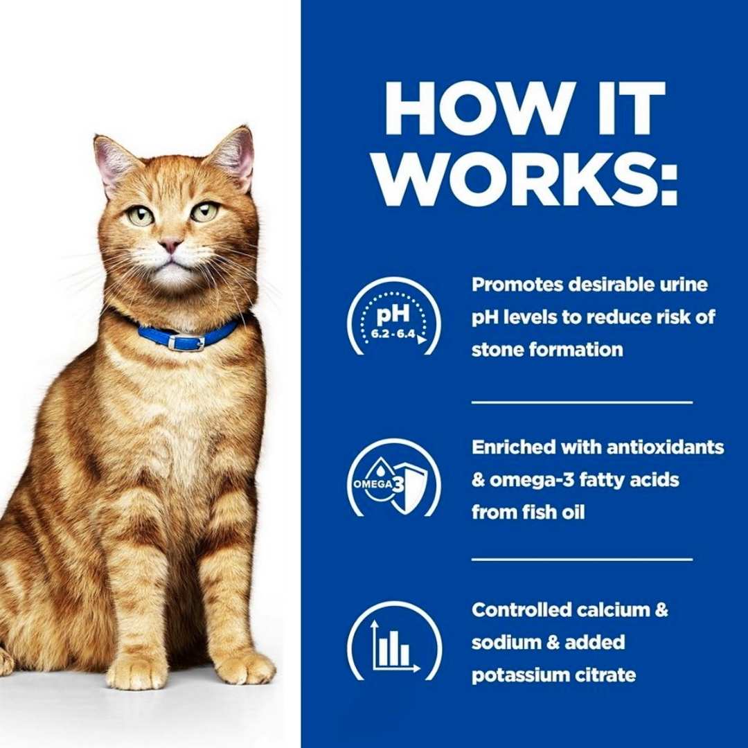 CD Dry Food for Cats (Chicken)