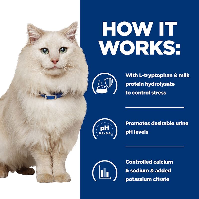 cat food for bladder health