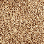 Load image into Gallery viewer, Close-up of beige carpet texture
