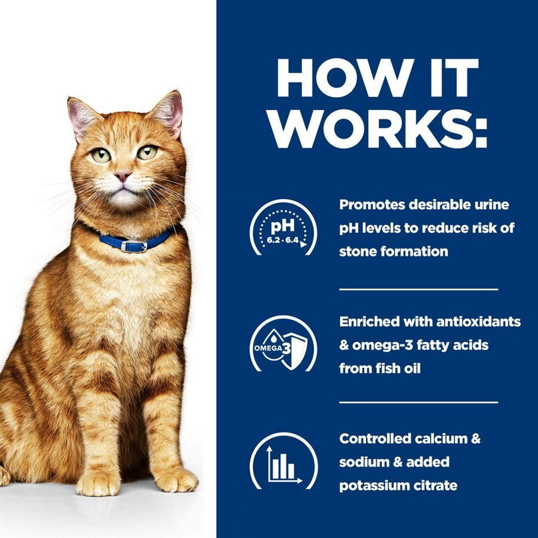 Cat with a blue collar on a white background, next to text about pet product benefits.
