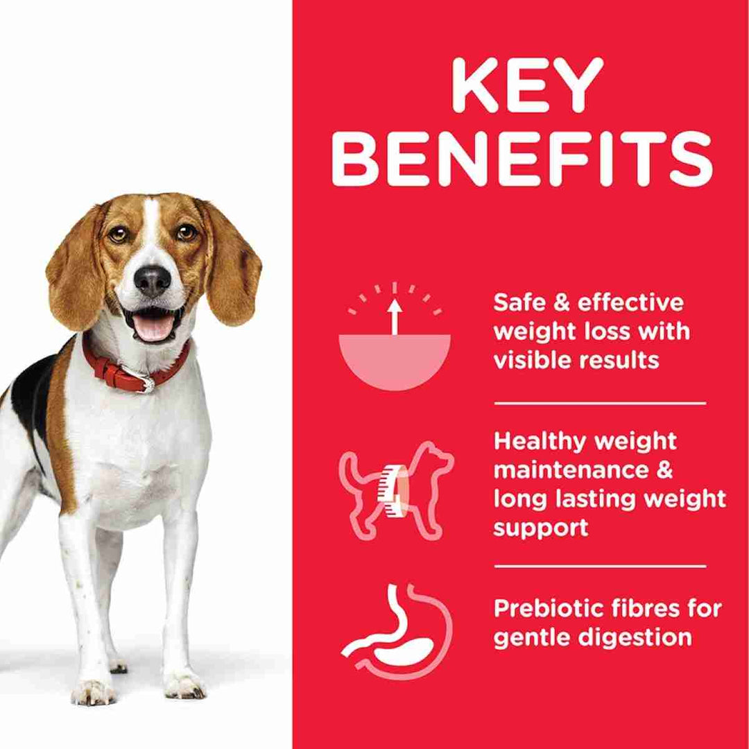 Perfect Weight dog food chicken