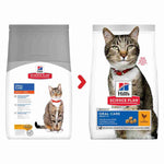 Load image into Gallery viewer, Dental care kibble for cats
