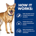 Load image into Gallery viewer, Wet food for canine digestive care
