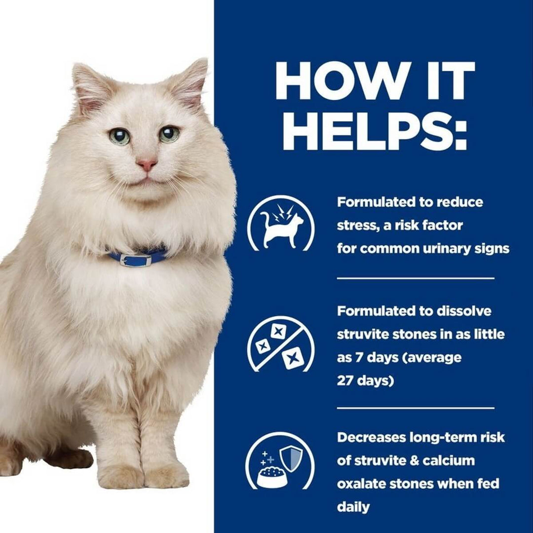 White cat with a blue background and text about pet health benefits.