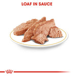 Load image into Gallery viewer, Dog food loaf in sauce on a white plate with red text and logo.
