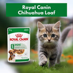 Load image into Gallery viewer, chihuahua wet food loaf 
