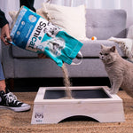 Load image into Gallery viewer, Person pouring cat litter into a wooden litter box with a cat watching, in a living room setting.
