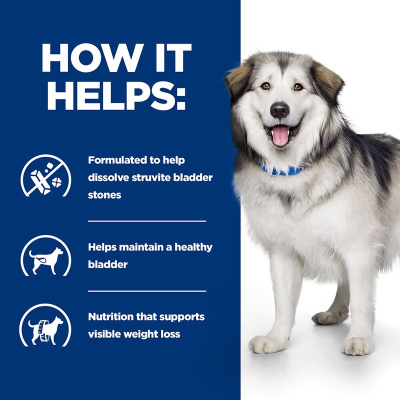 Hill's Prescription Diet dry food