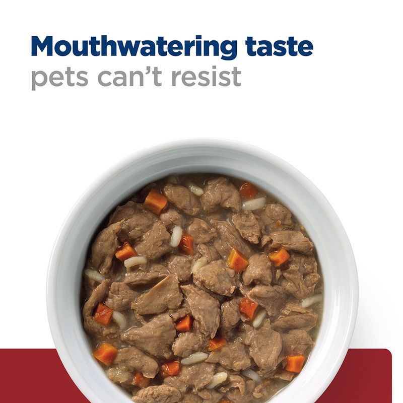 recommended stew for dogs