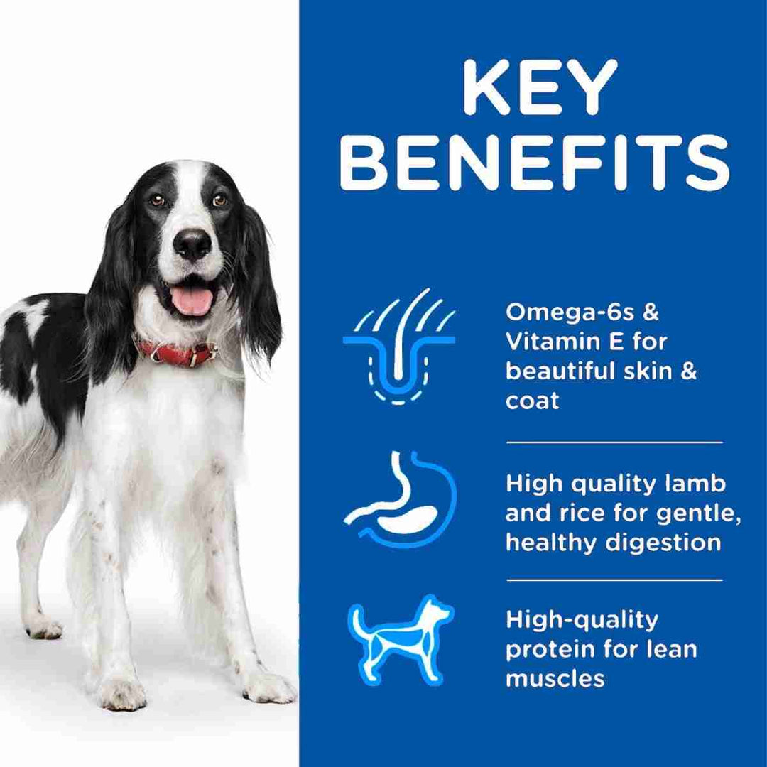 Balanced diet for dogs
