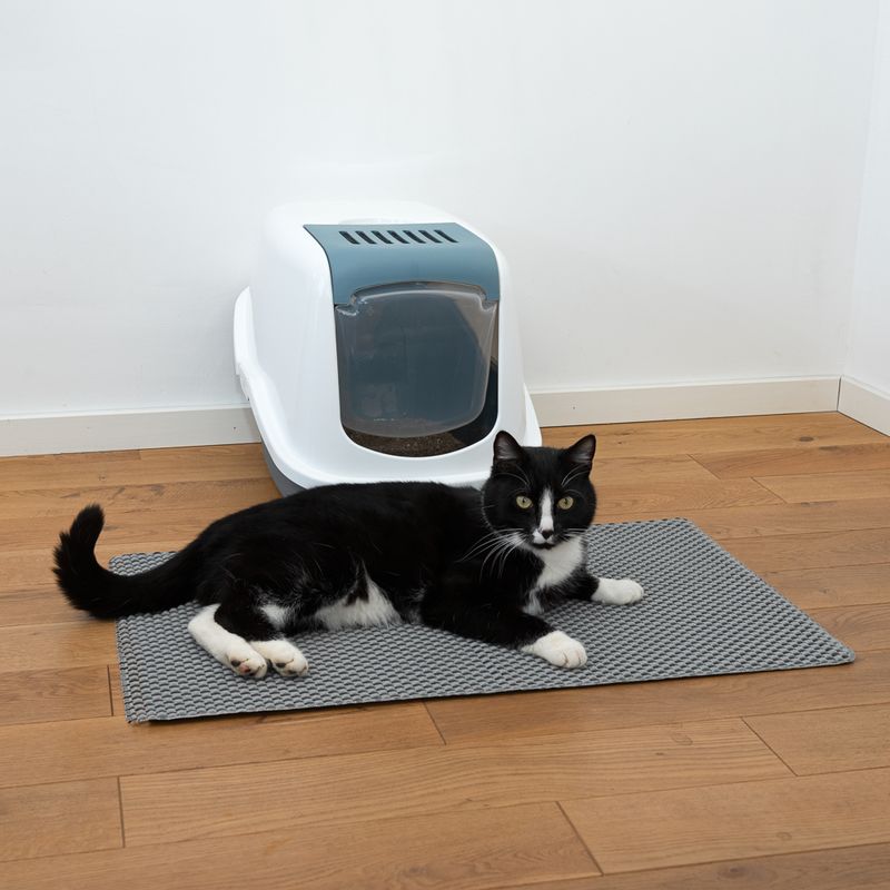 Cat lying on a mat next to a litter box in a room with wooden flooring.