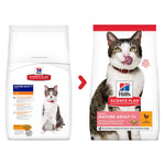 Load image into Gallery viewer, Mature cat food low calorie
