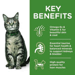 Load image into Gallery viewer, Cat with key benefits of a pet food product on a green background
