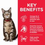 Load image into Gallery viewer, Nutrition for adult cats
