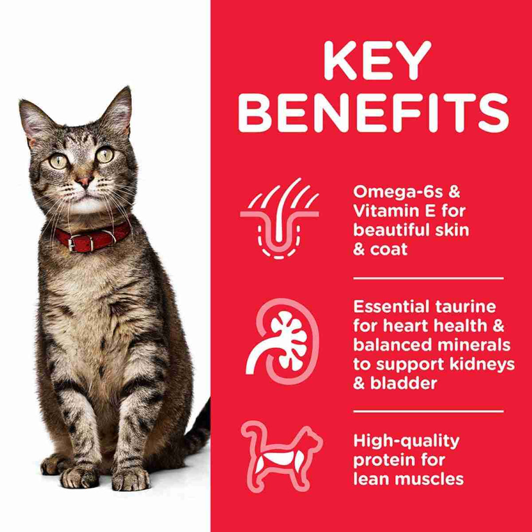 Nutrition for adult cats