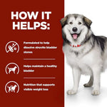 Load image into Gallery viewer, Dog with a red background and text about pet health benefits
