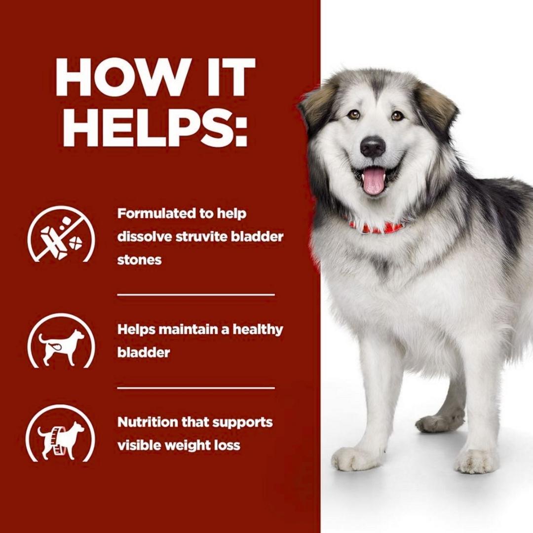 Dog with a red background and text about pet health benefits