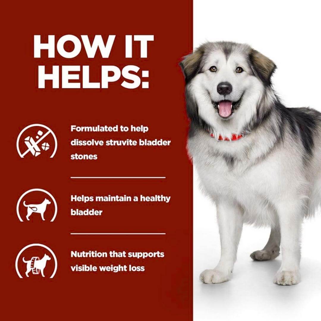 Dog with text on a red background about pet health benefits