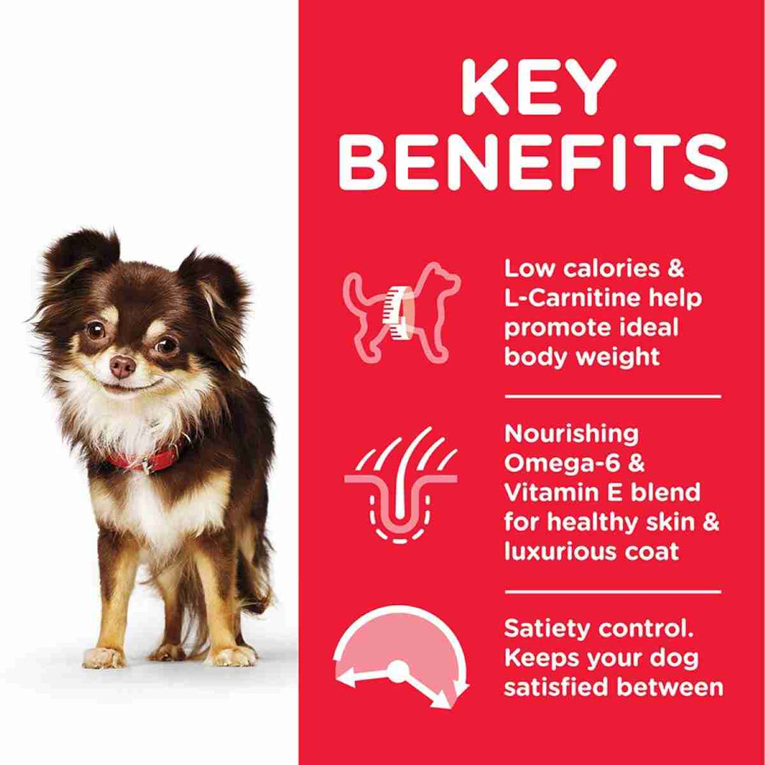 Low calorie dog food