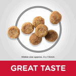 Load image into Gallery viewer, Mini breed senior dog nutrition
