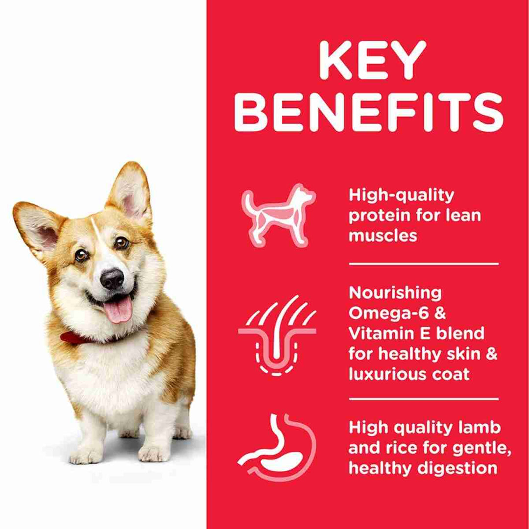 Adult mini dog food