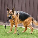 Load image into Gallery viewer, German Shepherd dog with a black and white rope toy in its mouth on grass.
