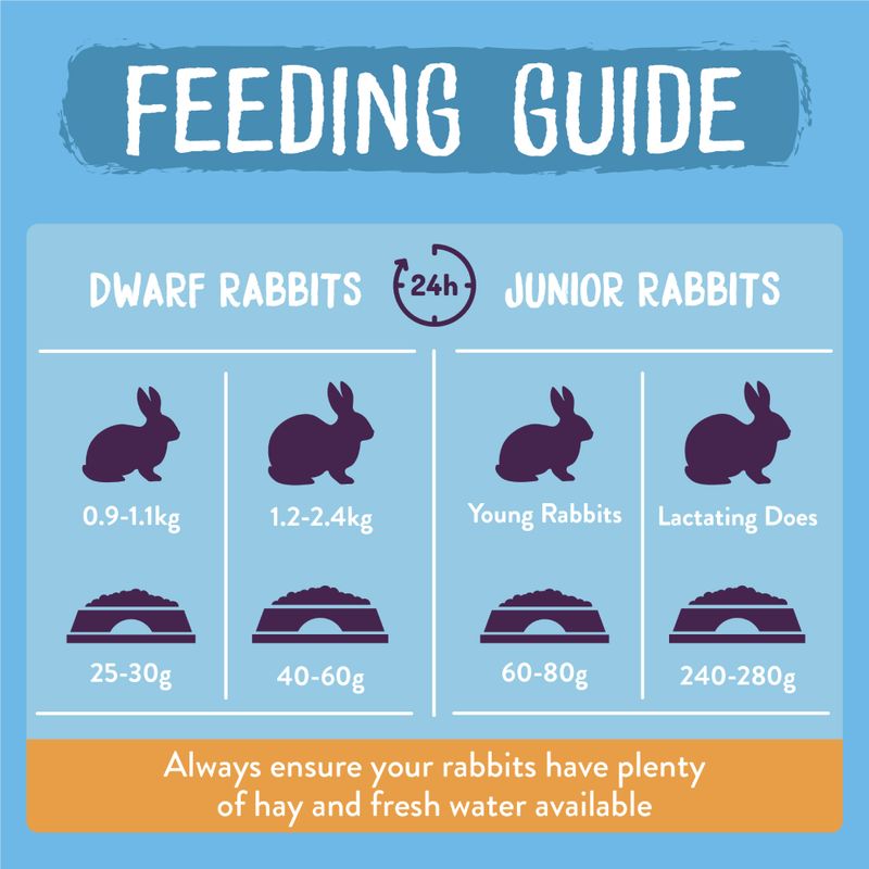 Feeding guide for dwarf and junior rabbits with recommended food amounts on a blue background.