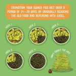 Load image into Gallery viewer, Guinea pig diet transition chart with Excel food and hay on a green background
