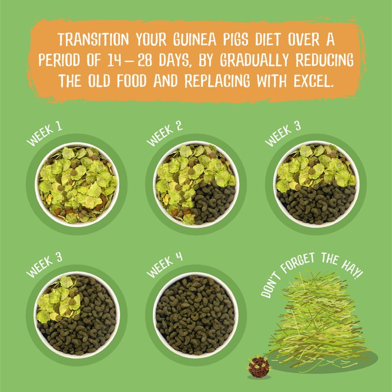 Guinea pig diet transition chart with Excel food and hay on a green background