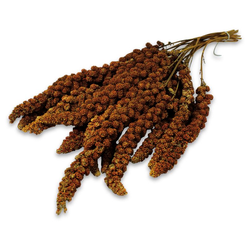 JR Farm Red Foxtail Millet offers the purest form of natural nutrition