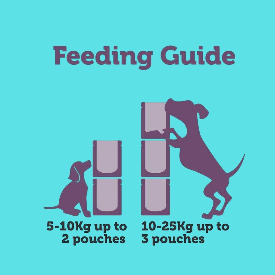Feeding guide pet food