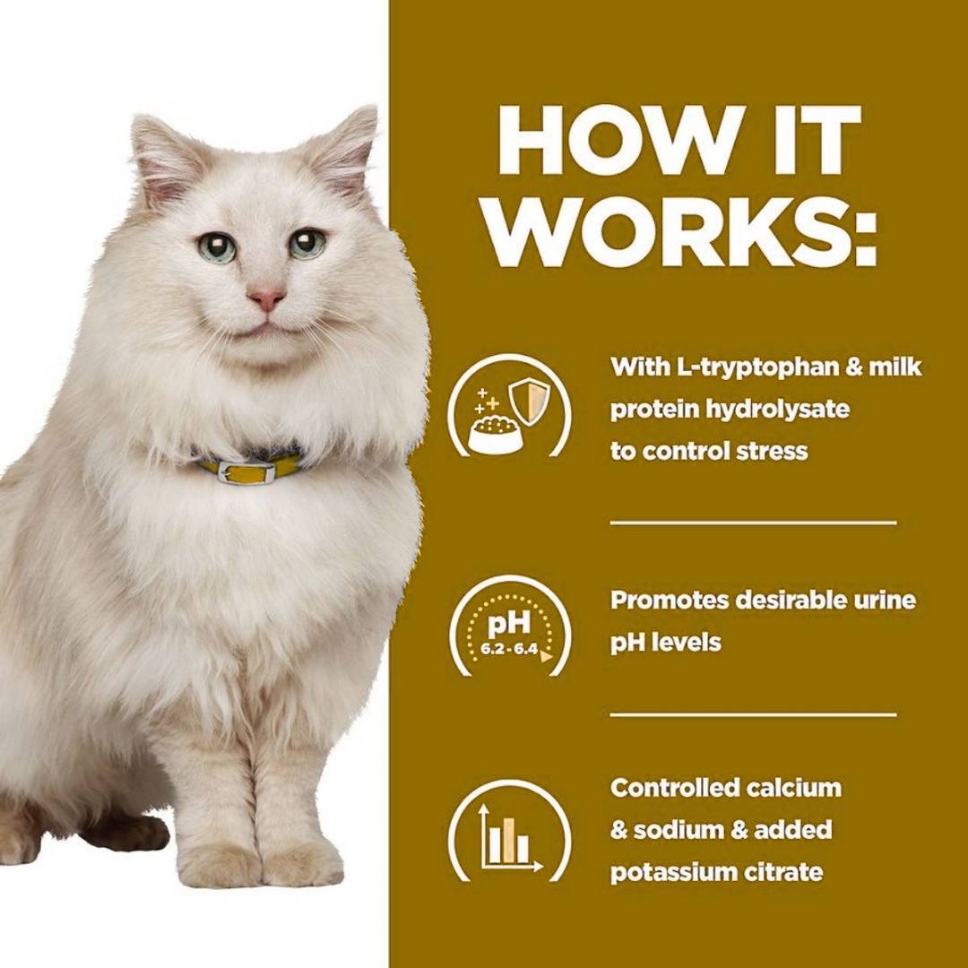 White cat with a green collar on a white background, featuring text about a product's benefits.
