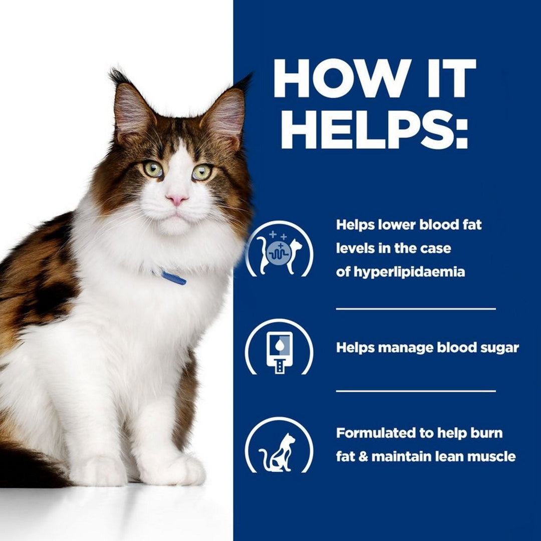 Prescription cat dry food