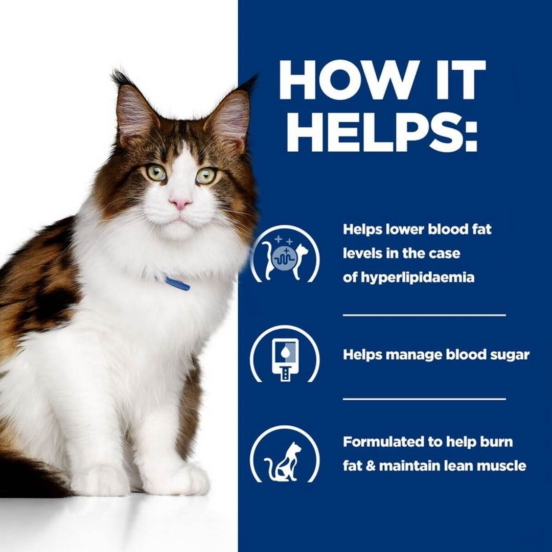 Cat with text on how it helps manage health conditions