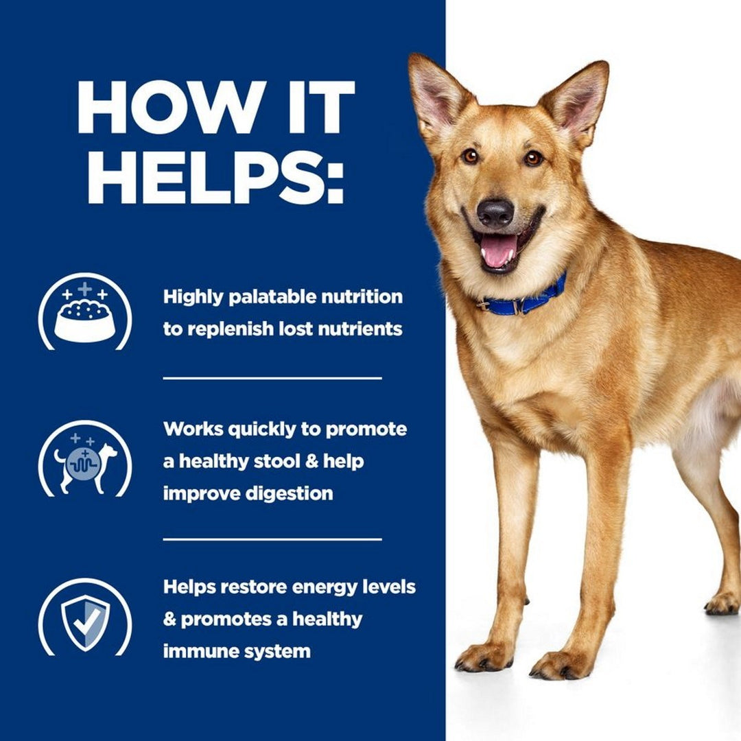 Dog standing next to a list of benefits on a blue background