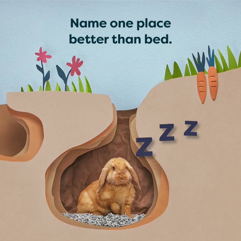 Illustration of a rabbit in a burrow with flowers and carrots, featuring text 'Name one place better than bed.'