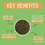 Load image into Gallery viewer, Key benefits of a pet food product on a green background
