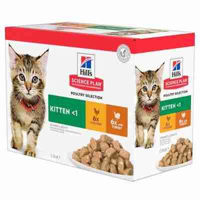 Wet kitten food selection