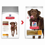 Load image into Gallery viewer, Hill&#39;s dry food for joints
