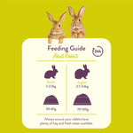Load image into Gallery viewer, Feeding guide for adult rabbits with two rabbits on a yellow background
